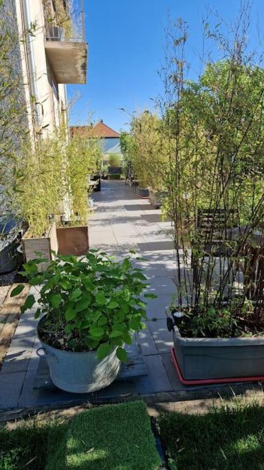 Gite La Passerelle Apartment Ostheim Luaran gambar